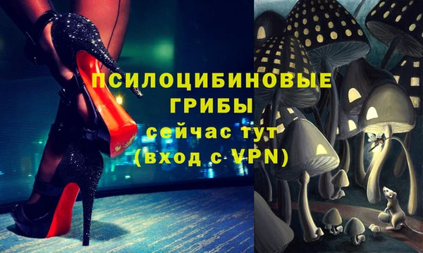 прущая мука Горняк