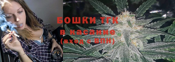 прущая мука Горняк