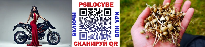 мега ссылки  как найти закладки  Черняховск  Галлюциногенные грибы Magic Shrooms 